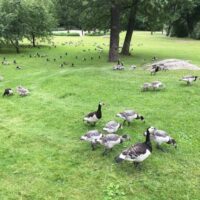 Park in Helsinki