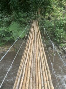 Brücke zum Wasserfall