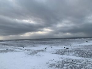 Mondlandschaft am Strand von Sólheimasandur