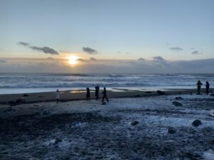 Schwarzer Strand Reynisfjara