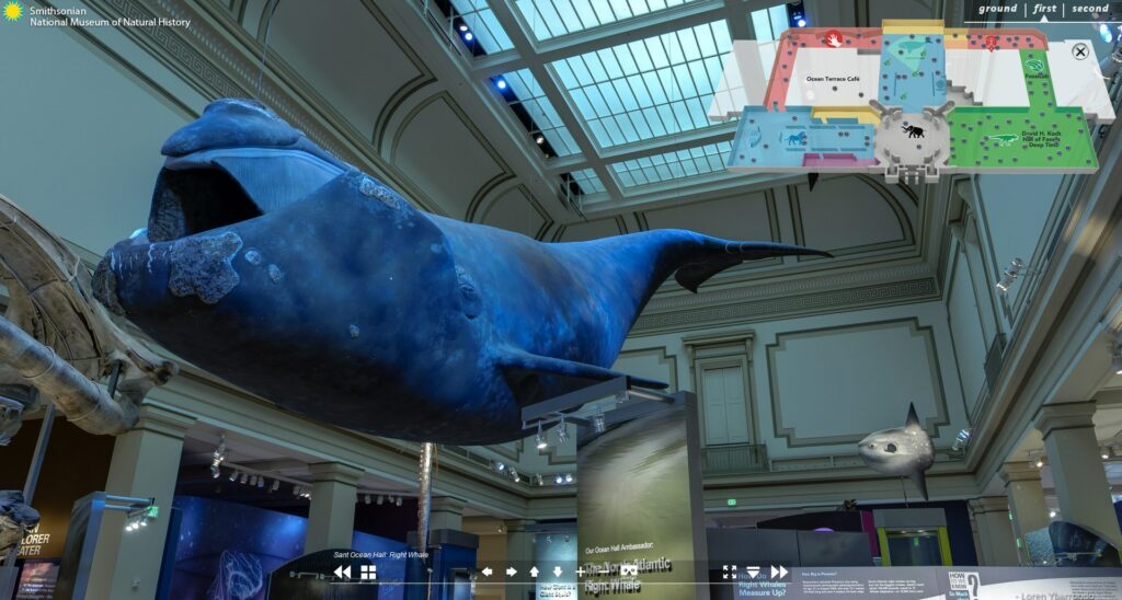 Smithsonian National Museum of Natural History