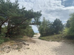 Hel: Wege am Strand