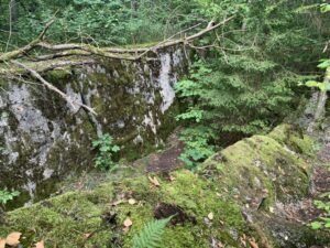 Wolfsschanze: Bunkerreste