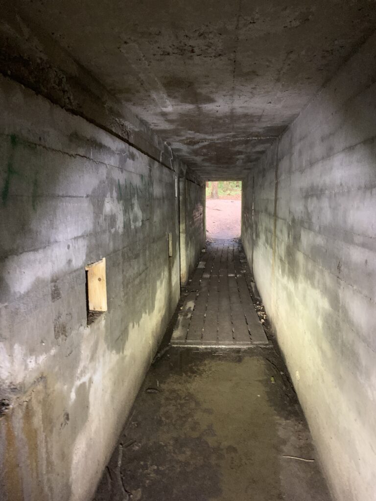 Mauerwald: Im Bunker Abschnitt "Quelle"