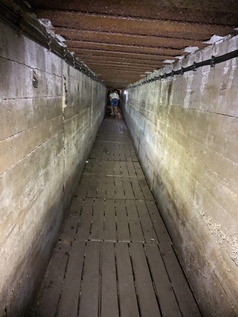 Mauerwald: Tunnel