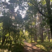 Sofia: Im Borissowa gradina Park
