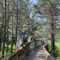 Bobbahn im Schatten der Bäume (BiH)