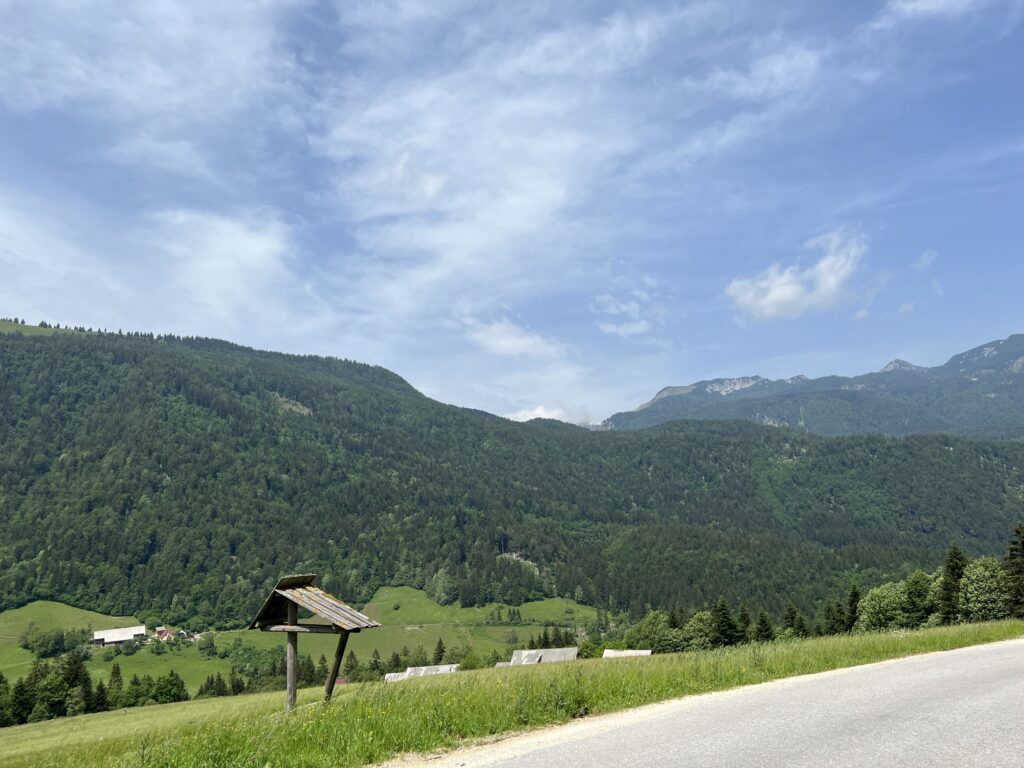 Nördlich von Kamnik in den Alpen (SI)
